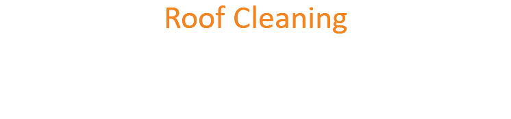 Roof Cleaning 